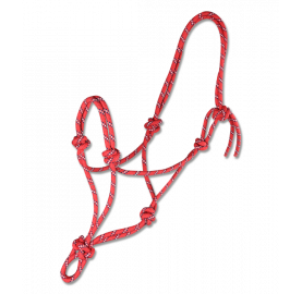 LICOL ETHOLOGIQUE