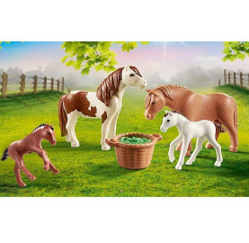 PONEYS ET POULAINS