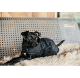 COUVERTURE CHIEN ORIGINAL