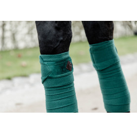 BANDES DE POLO VELVET