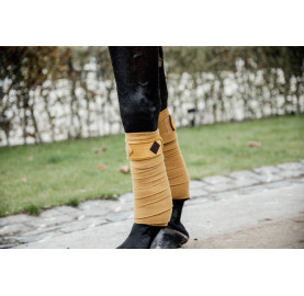 BANDES DE POLO VELVET