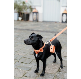 LAISSE POUR CHIEN VELVET