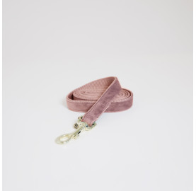 LAISSE POUR CHIEN VELVET